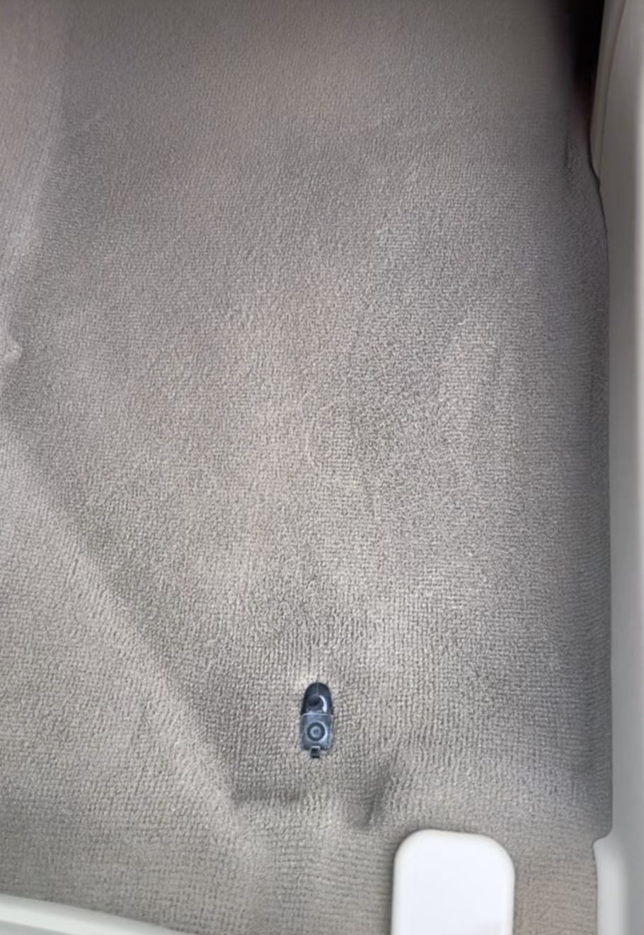 Carpet after stain removal