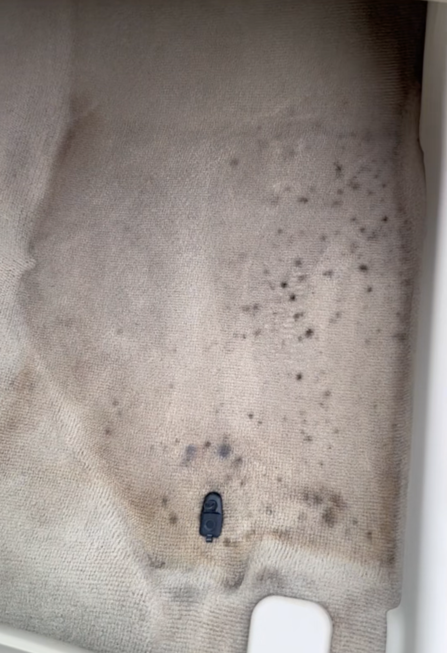 Carpet stain before cleaning