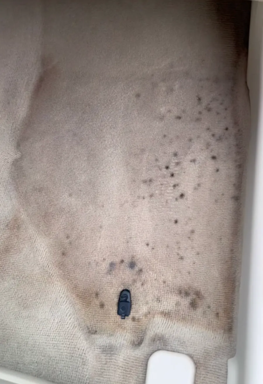 Gray vehicle carpet covered in dark stains before interior cleaning