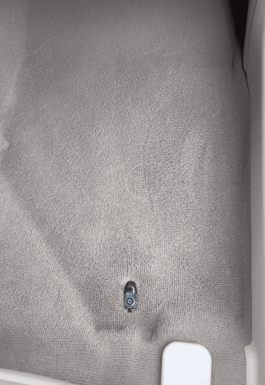 Clean carpet after deep extraction during auto detailing in Allentown