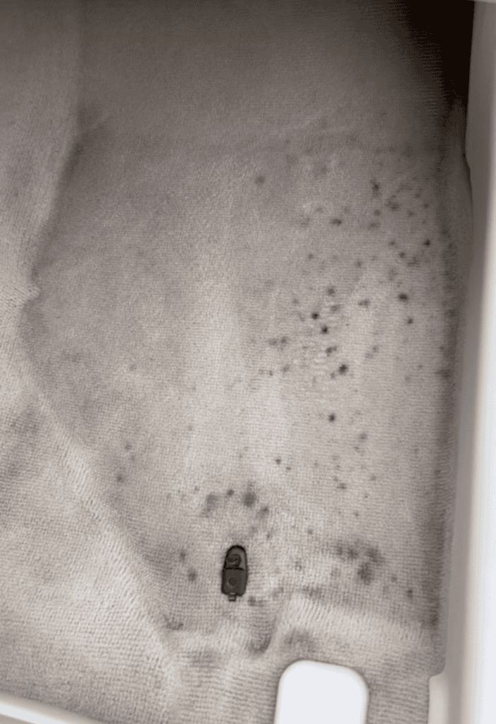 Stained carpet before steam cleaning during car detailing in Allentown