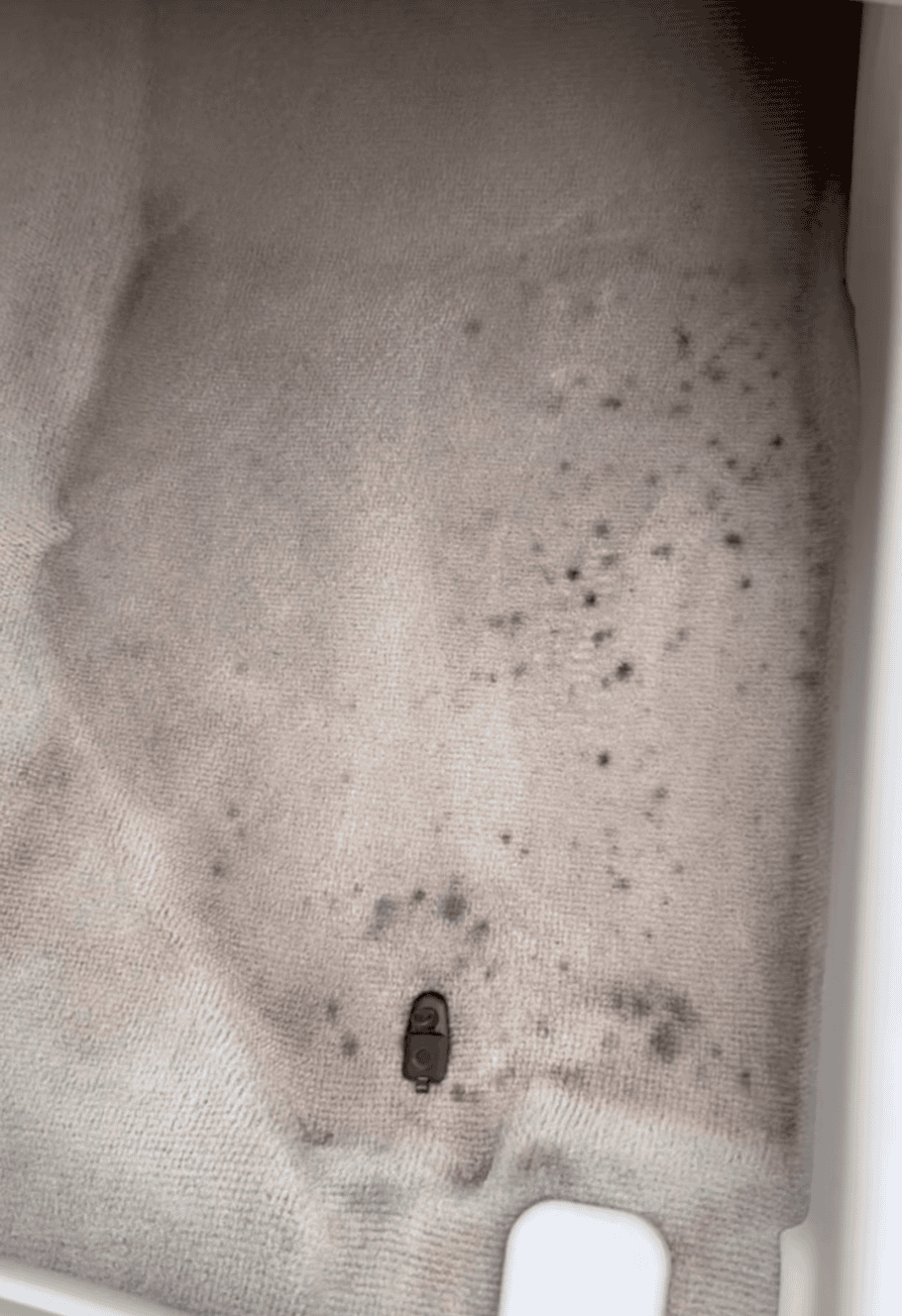 Stained carpet before steam cleaning during car detailing in Allentown